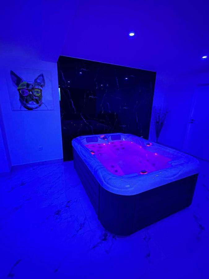 Appartement Cosy Jacuzzi Spa 70M2 Châtenois Екстериор снимка